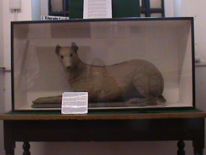 Lincoln Victorian Prison in Lincoln Castle