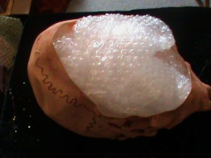 Frankenstein's Revenge.